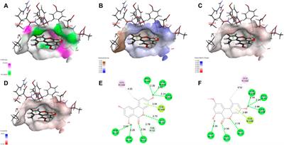 Recombinant Antibody-Based and Computer-Aided Comprehensive Analysis of Antibody’s Equivalent Recognition Mechanism of Alternariol and Alternariol Monomethyl Ether